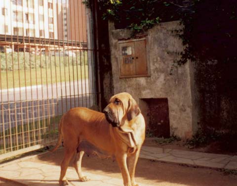 Image01