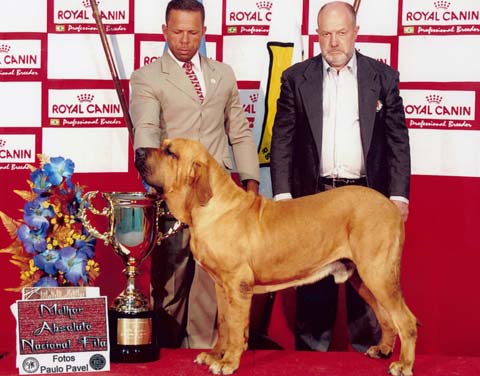 Image01